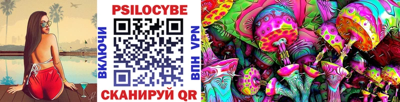Галлюциногенные грибы Psilocybine cubensis где купить наркоту OMG как зайти Шелехов